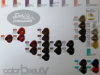 Beauty Long Evolution hajfesték 100 ml - Kávé színek képe