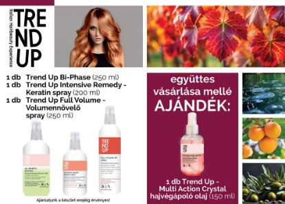 Kép AKCIÓ - 3 db Trend Up finish termékhez AJÁNDÉK Trend UP hajvégápoló olaj