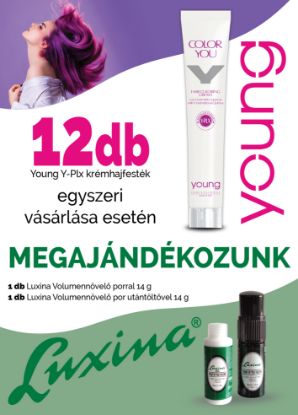 Kép AKCIÓ - 12 db Young hajfestékhez AJÁNDÉK Luxina Volumennövelő por+utántöltő