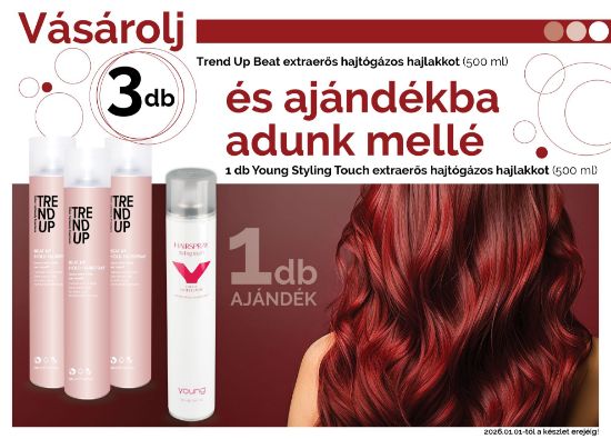 AKCIÓ - Trend Up - 3 db Extra erős hajtógázas hajlakkhoz  (3x500 ml) AJÁNDÉK Young Extra erős hajtógázas hajlakk (500 ml) képe